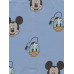 Шорти George Mickey Mouse
