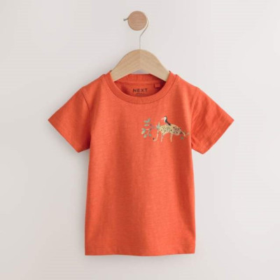 Футболка Next Safari/Terracotta