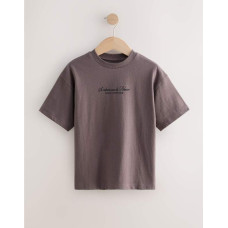 Футболка оверсайз Graphic /Brown