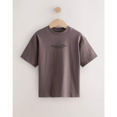 Футболка оверсайз Graphic /Brown