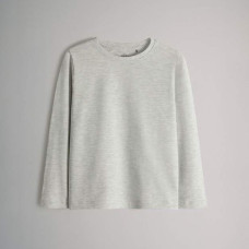 Лонгслів Regular/Grey Marl
