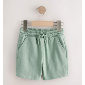 Шорти з двонитки Jersey Mineral /Sage Green