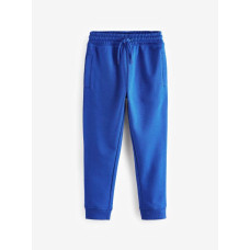 Джогери на флісі Slim/Cobalt