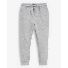 Джогери на флісі Slim/Gray