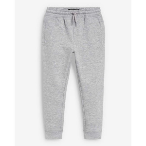 Джогери на флісі Slim/Gray
