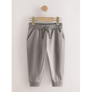 Джогери з двонитки Regular/Gray