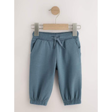 Джогери з двонитки Regular Fit /Блакитний