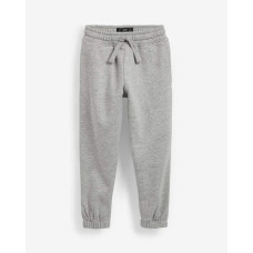 Джогери на флісі Regular/Grey