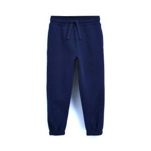 Джогери на флісі Regular/Navy blue